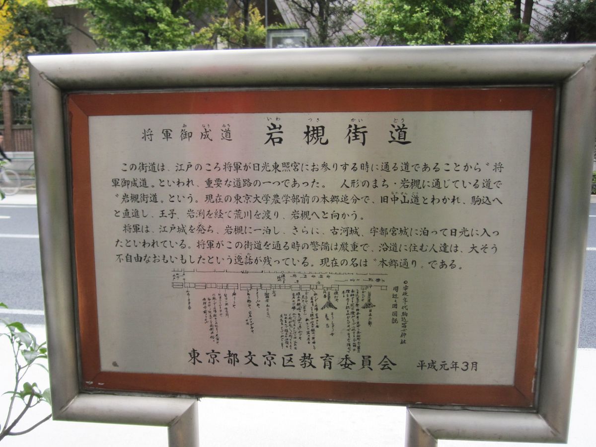f:id:mame-lantern:20200919211713j:plain f:id:mame-lantern:20200919211713j:plain