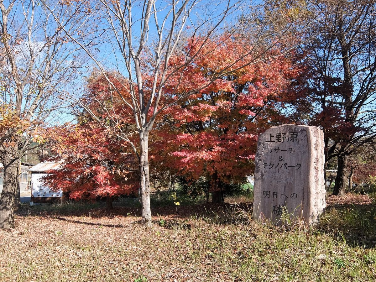 f:id:mame-lantern:20201129104344j:plain