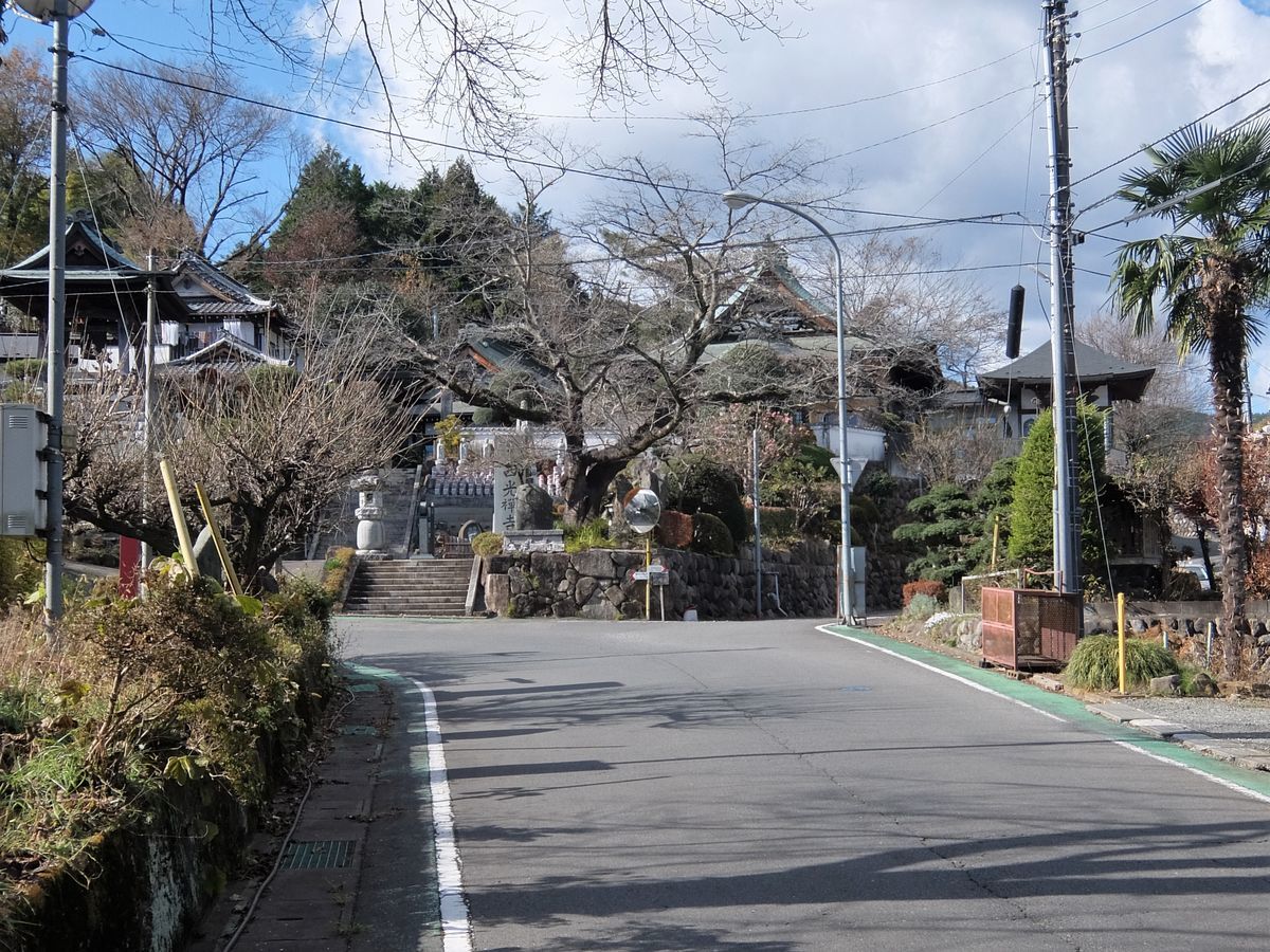 f:id:mame-lantern:20201129112242j:plain