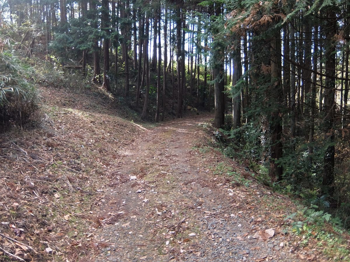 f:id:mame-lantern:20201129112807j:plain