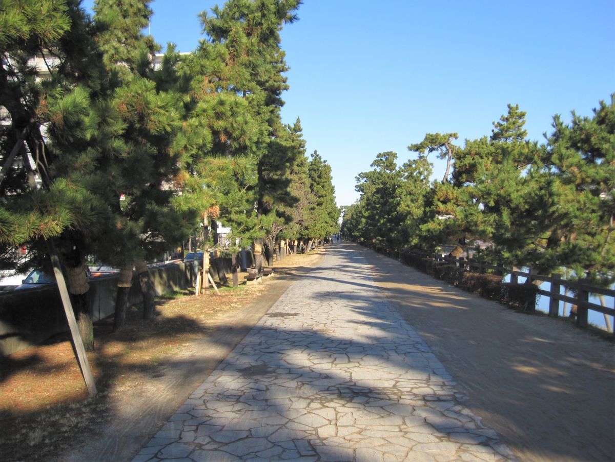 f:id:mame-lantern:20201215214418j:plain