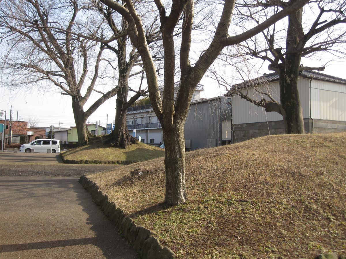 f:id:mame-lantern:20201215214524j:plain