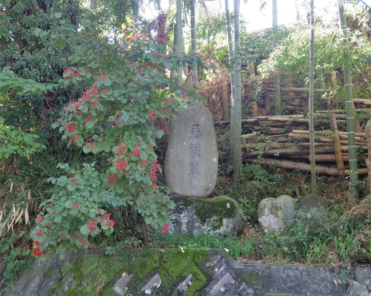 f:id:mame-lantern:20211006173341j:plain