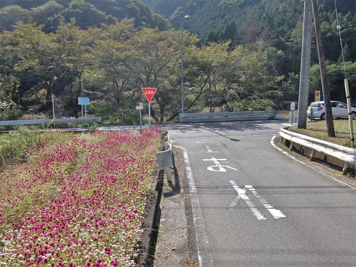 f:id:mame-lantern:20211006203142j:plain