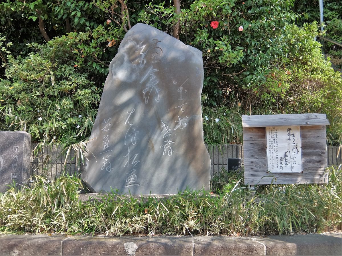 f:id:mame-lantern:20220410121705j:plain