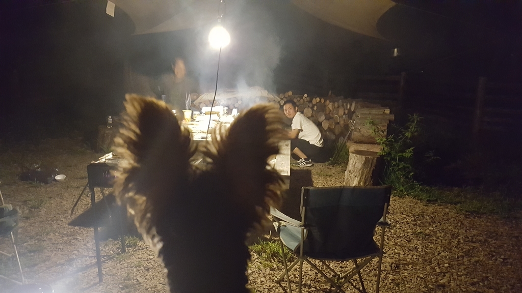 清里ペンショングランデール ワンコと泊まる まめうに日記