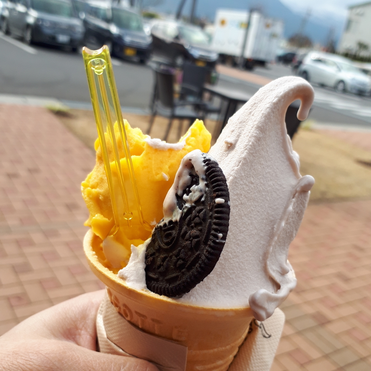 シュテルンジェラートファクトリー わんことカフェ巡り まめうに日記