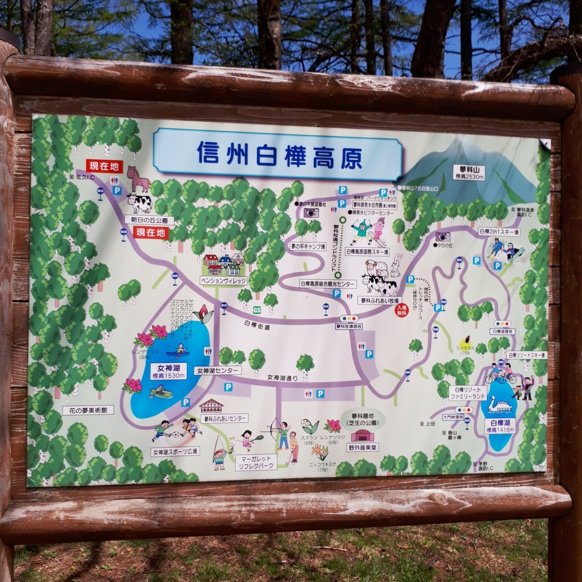 長門牧場 わんことぶらり旅 まめうに日記 長門牧場 わんことぶらり旅 まめうに日記