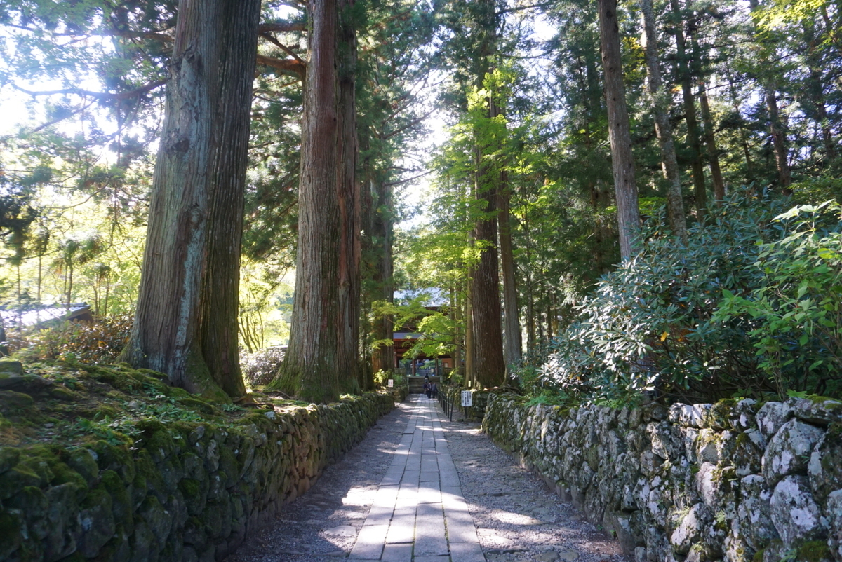 パワースポット 光前寺 わんこ寺 と光苔 まめうに日記