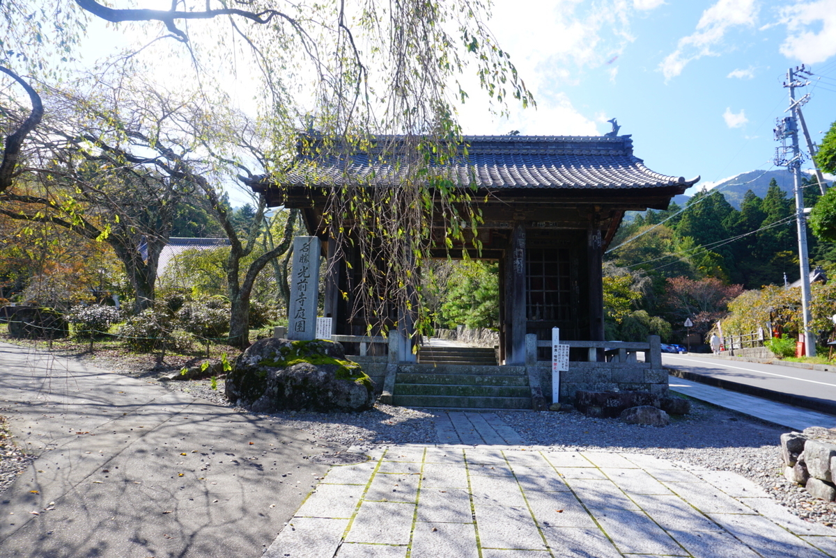 パワースポット 光前寺 わんこ寺 と光苔 まめうに日記