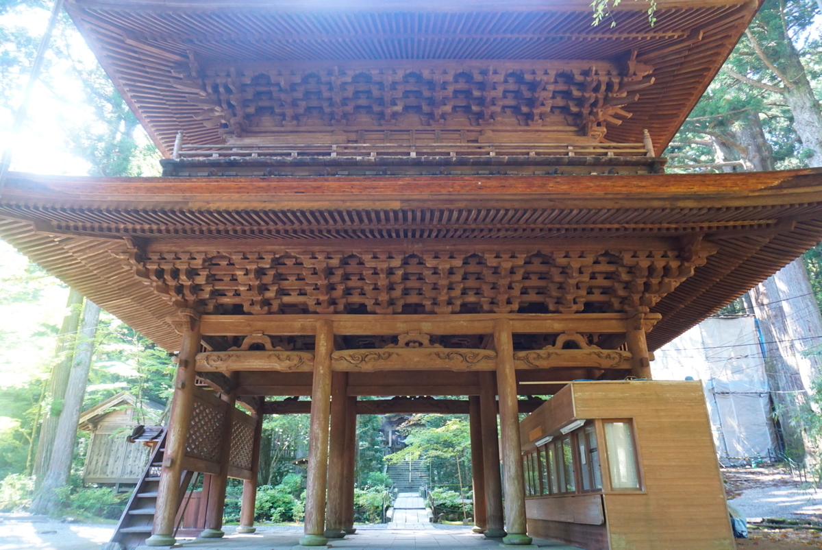 パワースポット 光前寺 わんこ寺 と光苔 まめうに日記