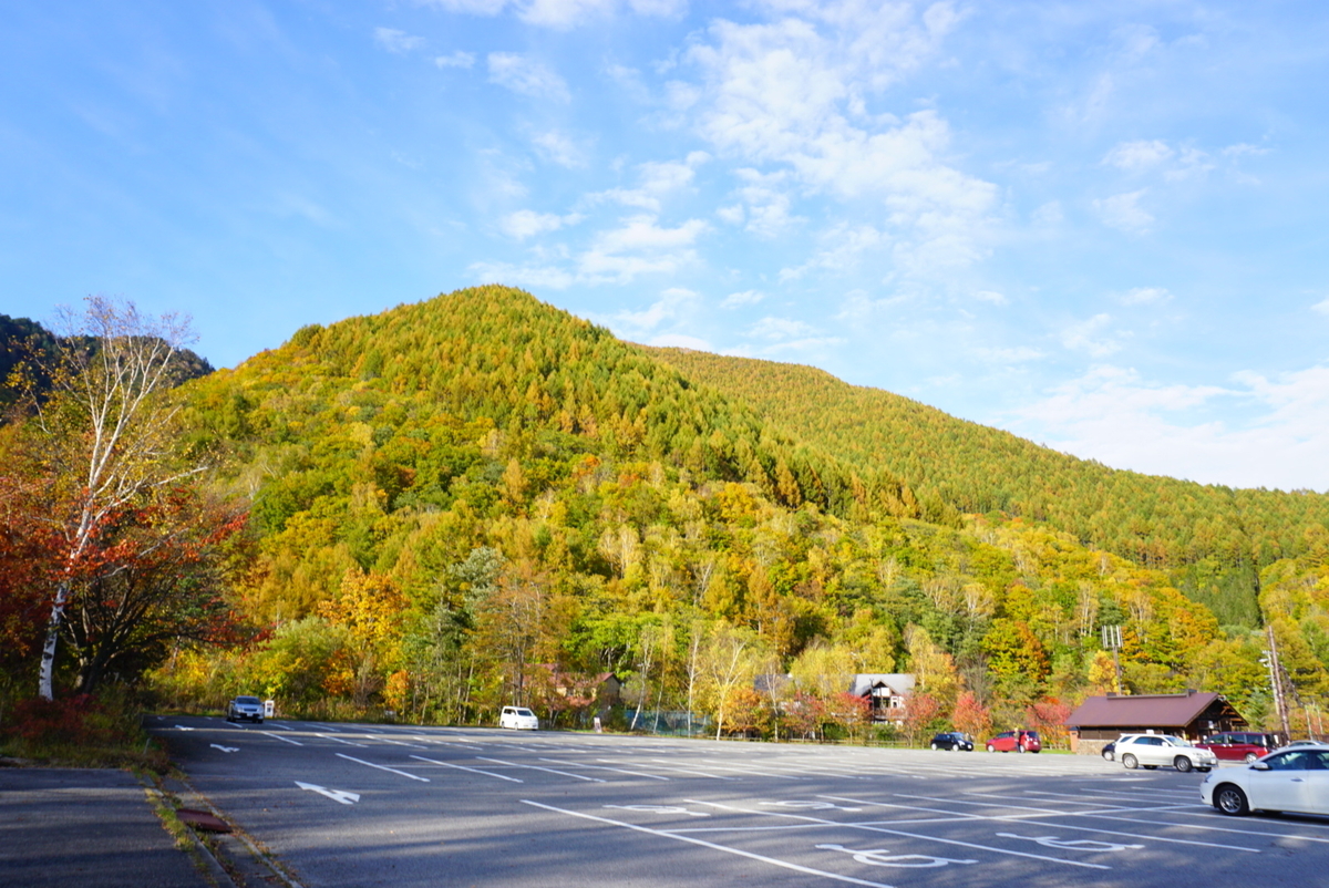 乗鞍高原2019紅葉 わんこと紅葉 まめうに日記 乗鞍高原2019紅葉 わんこと紅葉 まめうに日記