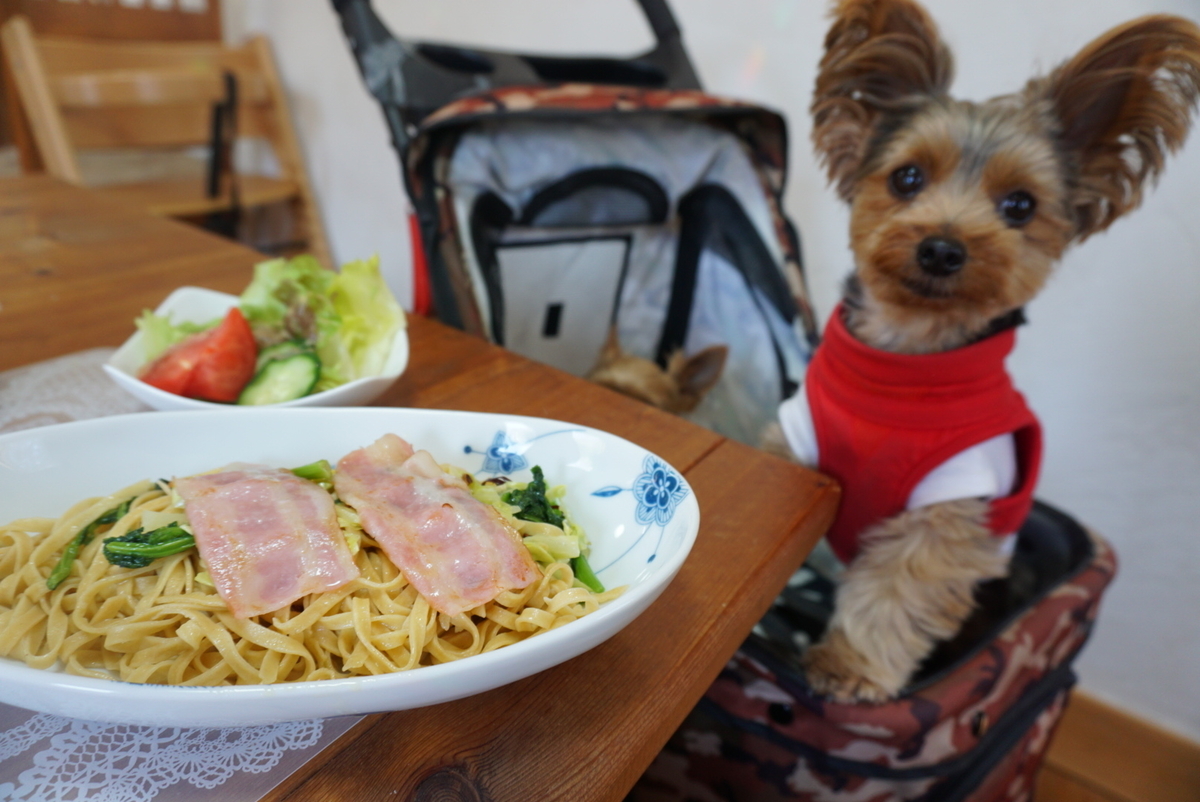 原村の生パスタ屋が食べれるカフェ 花 茶 テラス席ペットok まめうに日記 原村の生パスタ屋が食べれるカフェ 花 茶 テラス席ペットok まめうに日記