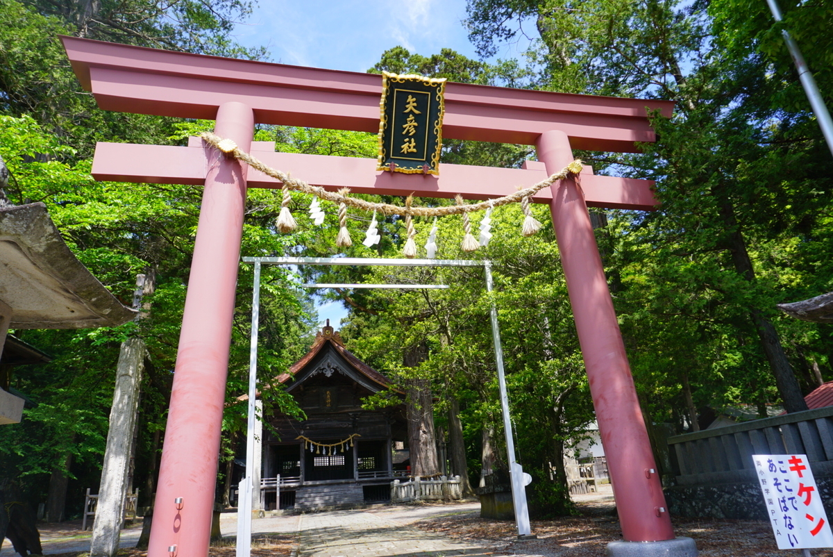 f:id:mame-uni0331:20200606213650j:plain f:id:mame-uni0331:20200606213650j:plain