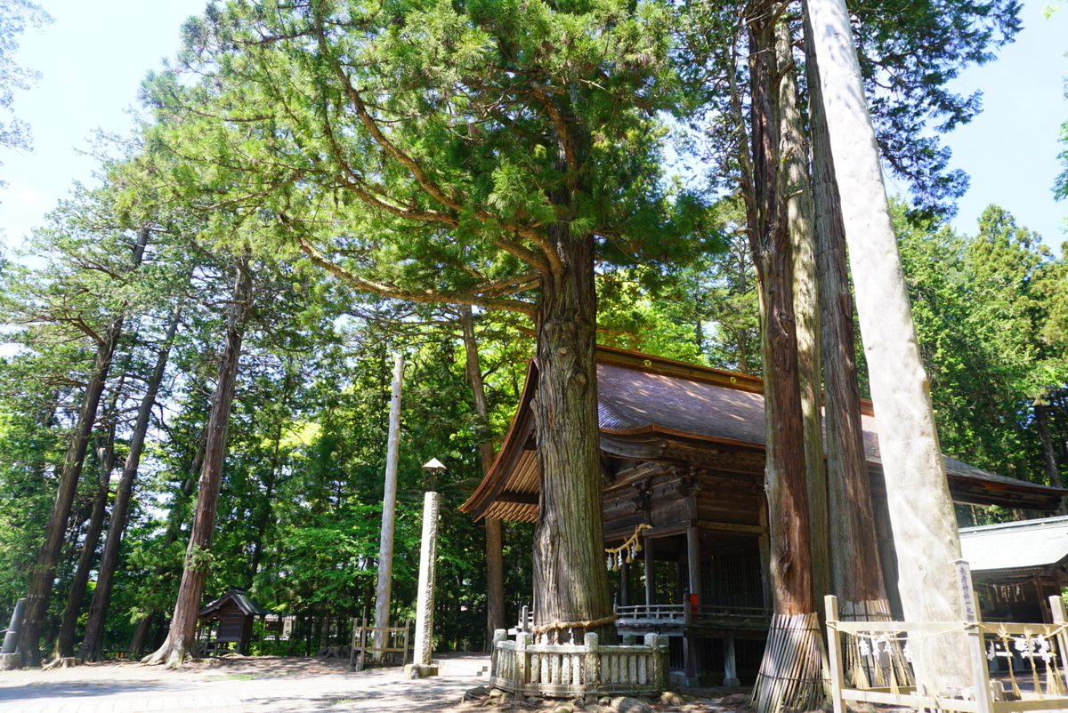 f:id:mame-uni0331:20200606214103j:plain f:id:mame-uni0331:20200606214103j:plain