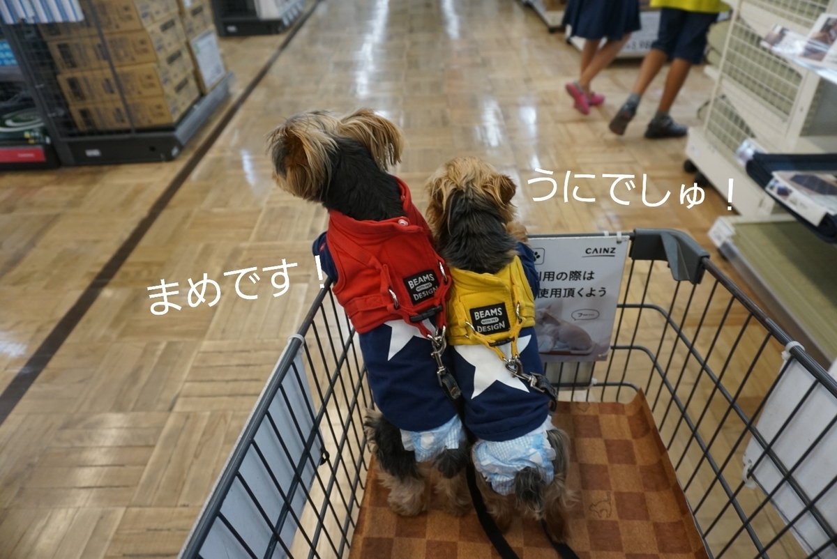 愛犬とカインズホームとモスバーガーで休日を過ごすの巻 まめうに日記