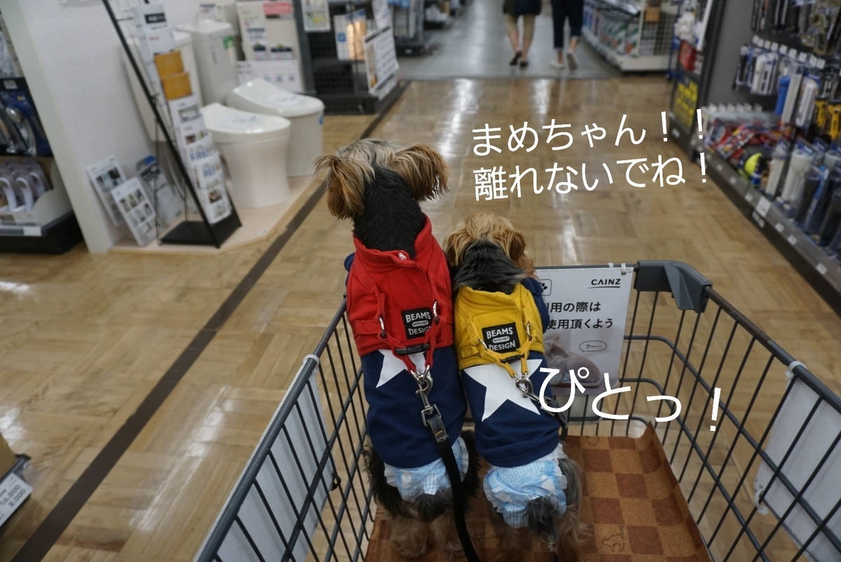 f:id:mame-uni0331:20200612192900j:plain