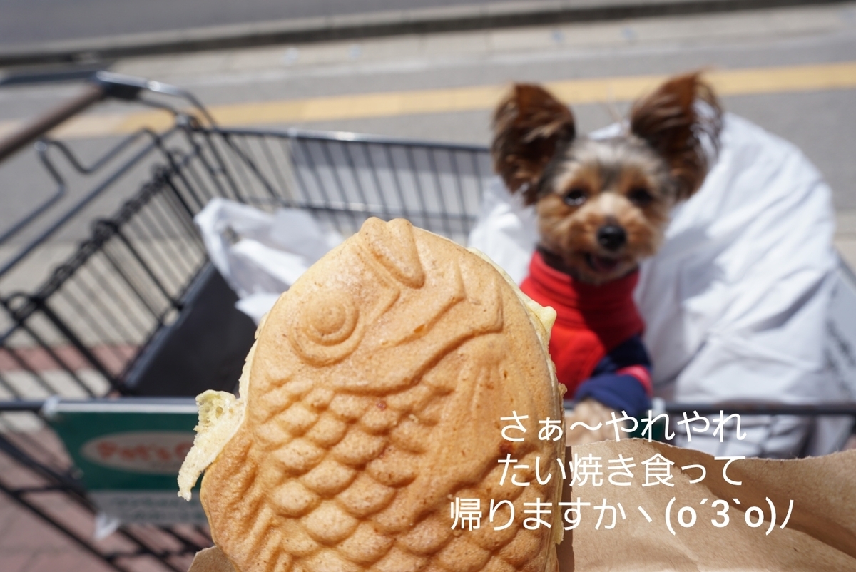 f:id:mame-uni0331:20200612192930j:plain