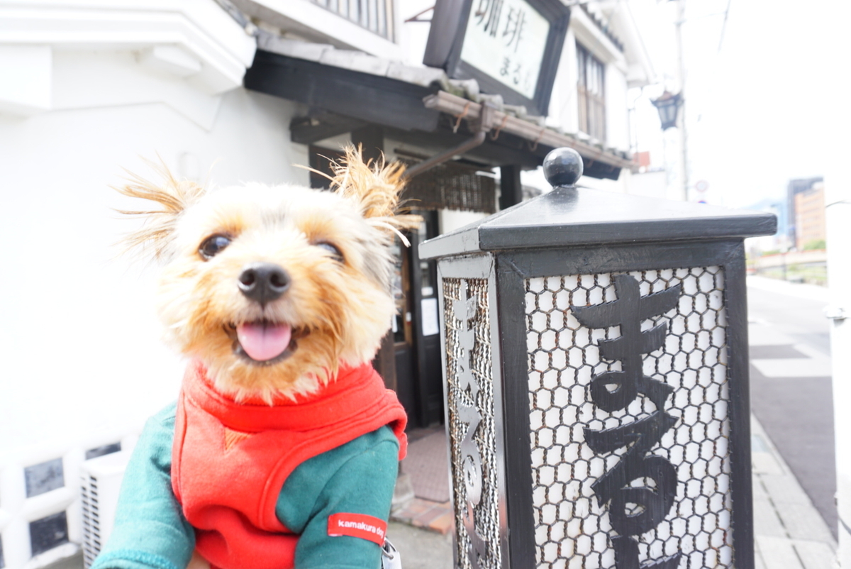 f:id:mame-uni0331:20200917182956j:plain