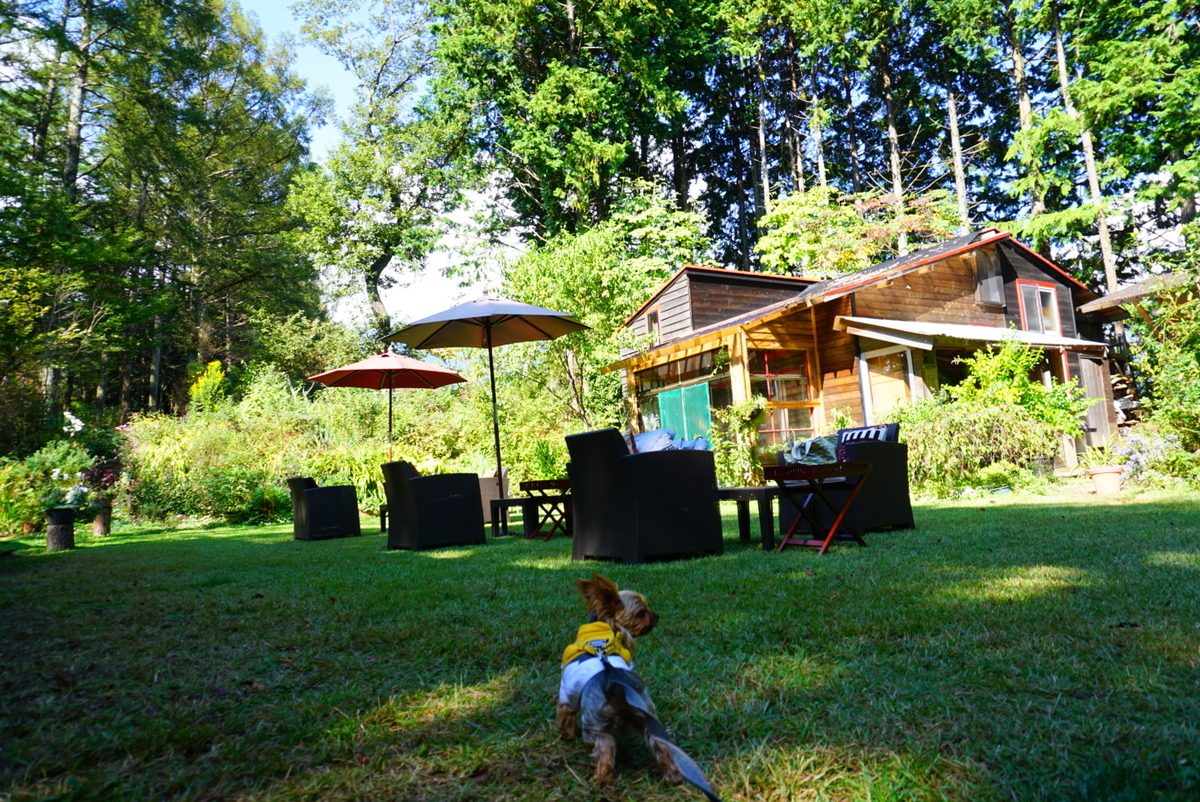 f:id:mame-uni0331:20201013082701j:plain