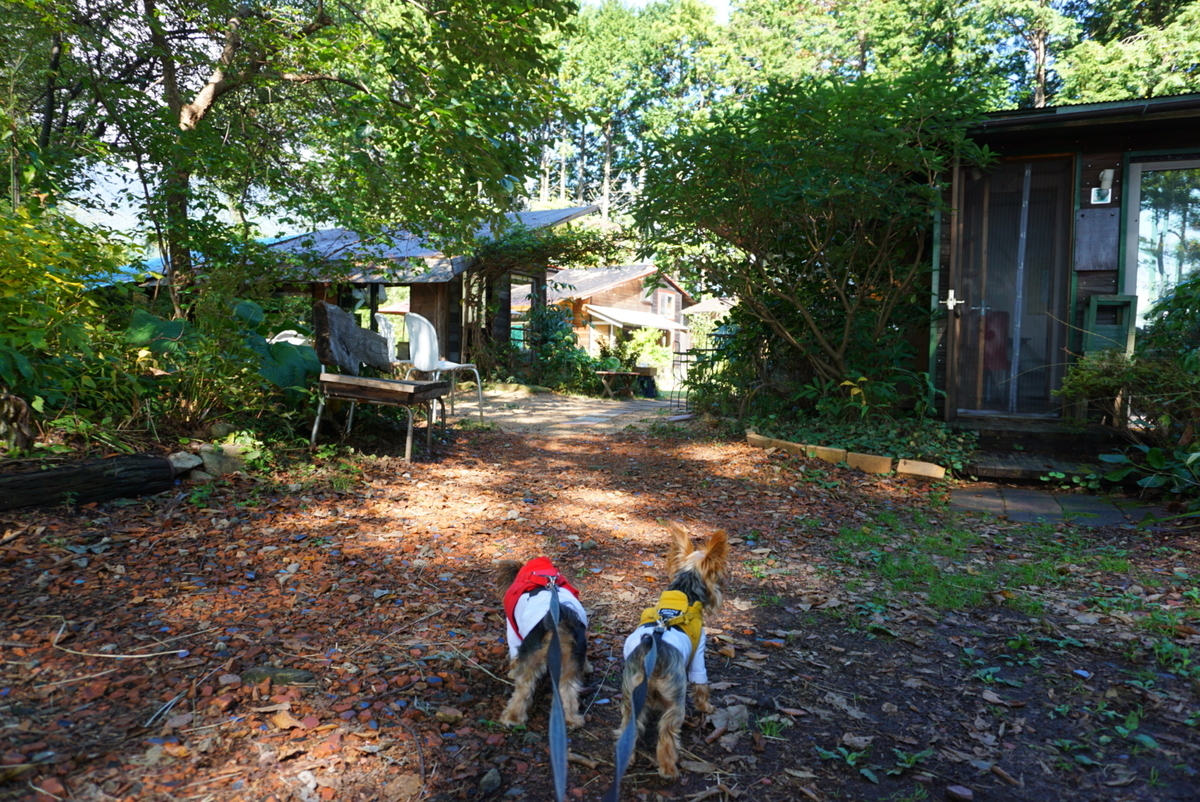 f:id:mame-uni0331:20201013082739j:plain