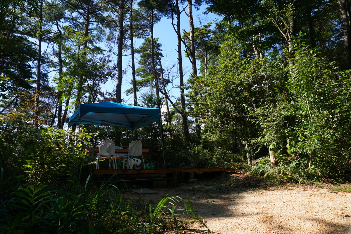 f:id:mame-uni0331:20201013082750j:plain