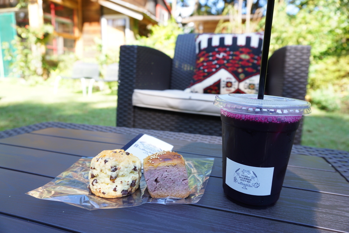 f:id:mame-uni0331:20201013082904j:plain