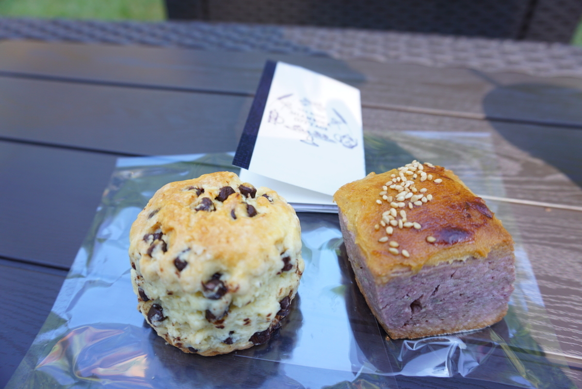 f:id:mame-uni0331:20201013082909j:plain