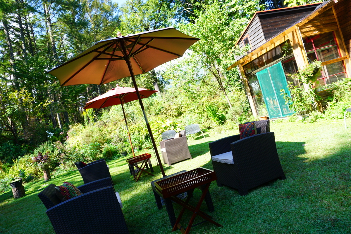 f:id:mame-uni0331:20201013082922j:plain