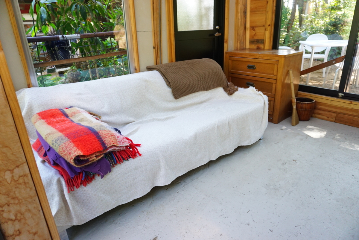 f:id:mame-uni0331:20201013082925j:plain