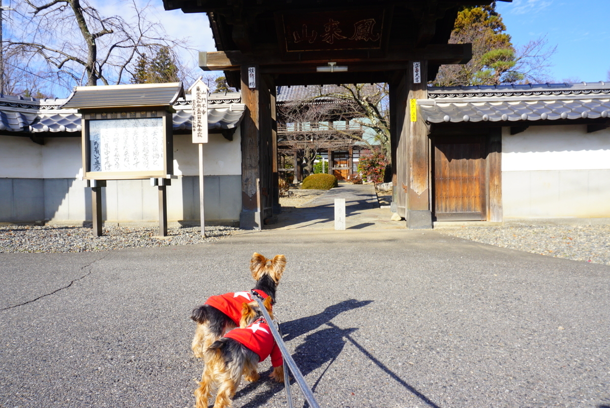 f:id:mame-uni0331:20201207174007j:plain