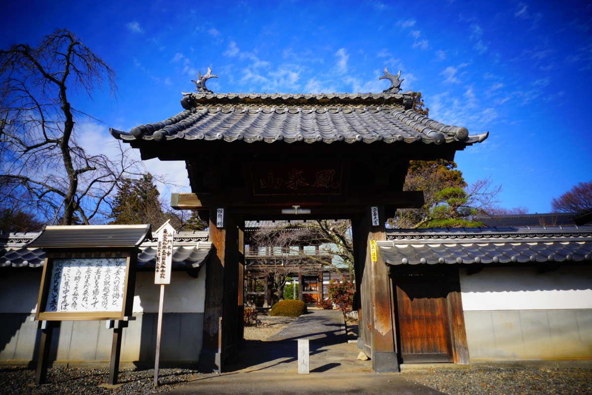 f:id:mame-uni0331:20201207174012j:plain