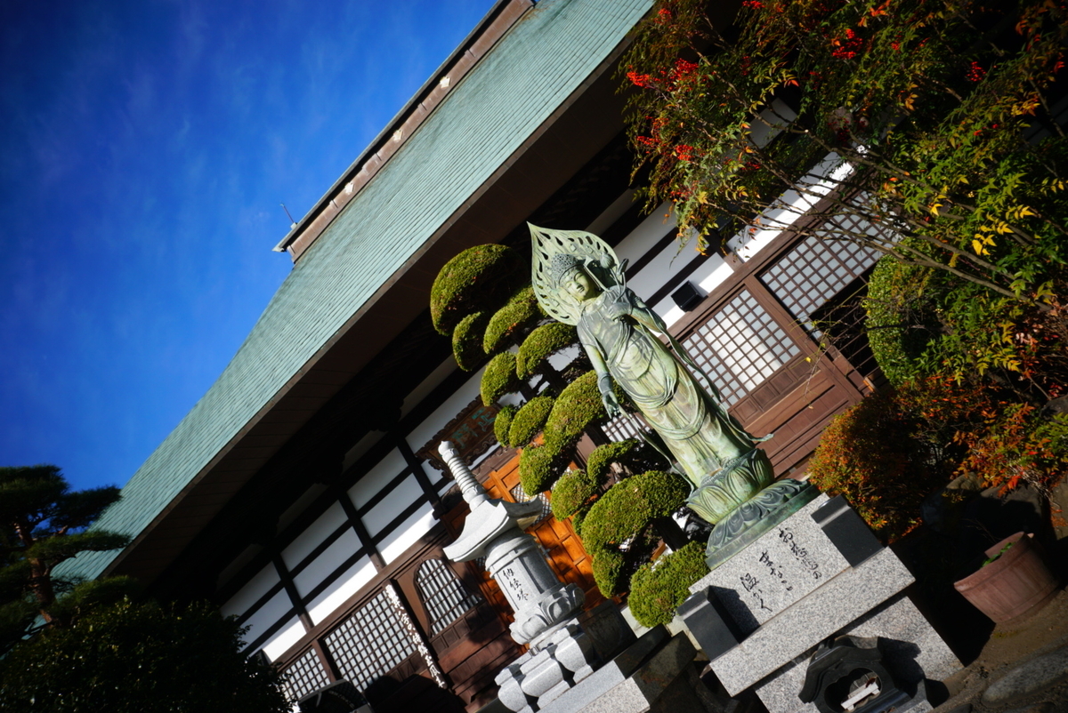 f:id:mame-uni0331:20201207174034j:plain