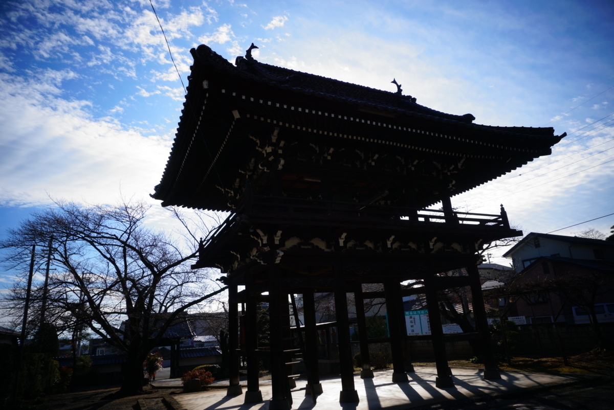 f:id:mame-uni0331:20201207174103j:plain