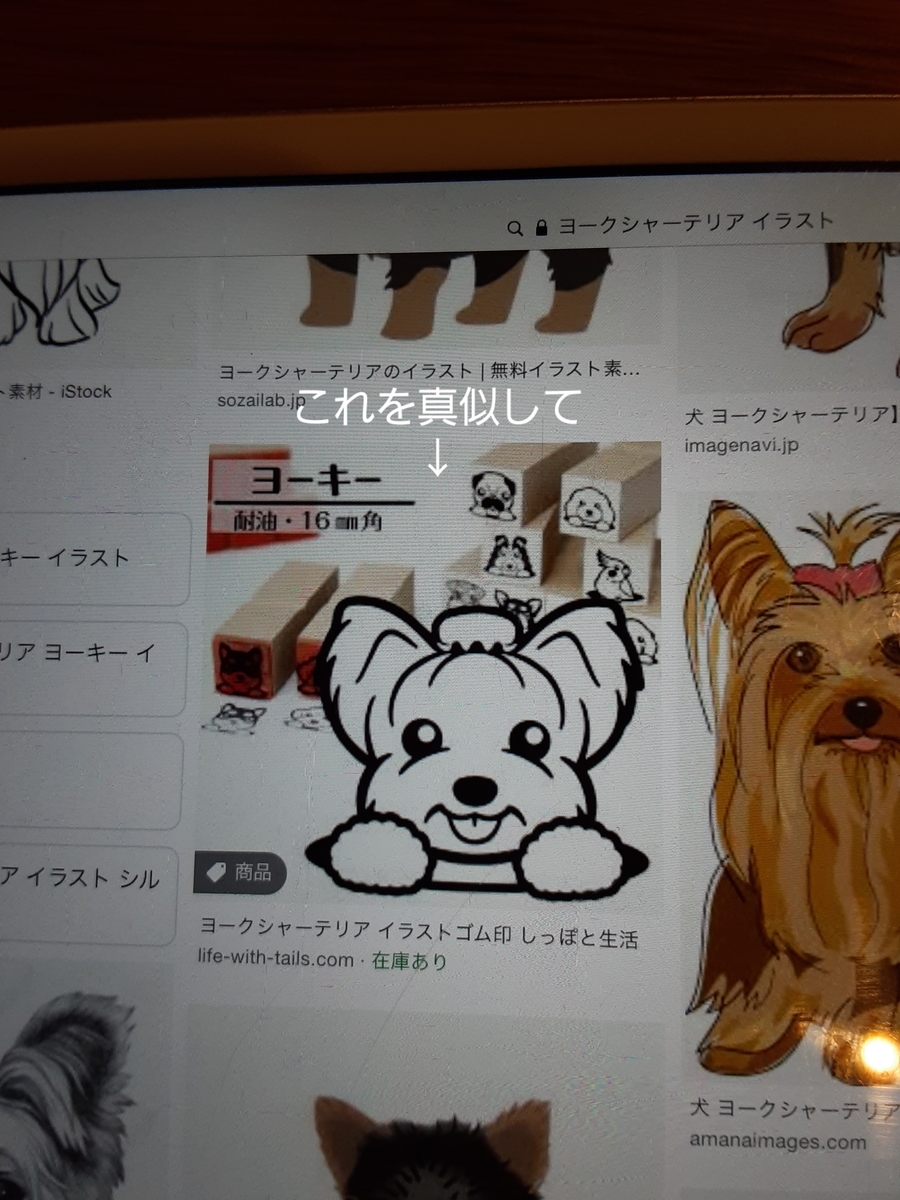 うちの子描いてみた 何かがおかしい まめうに日記 うちの子描いてみた 何かがおかしい まめうに日記