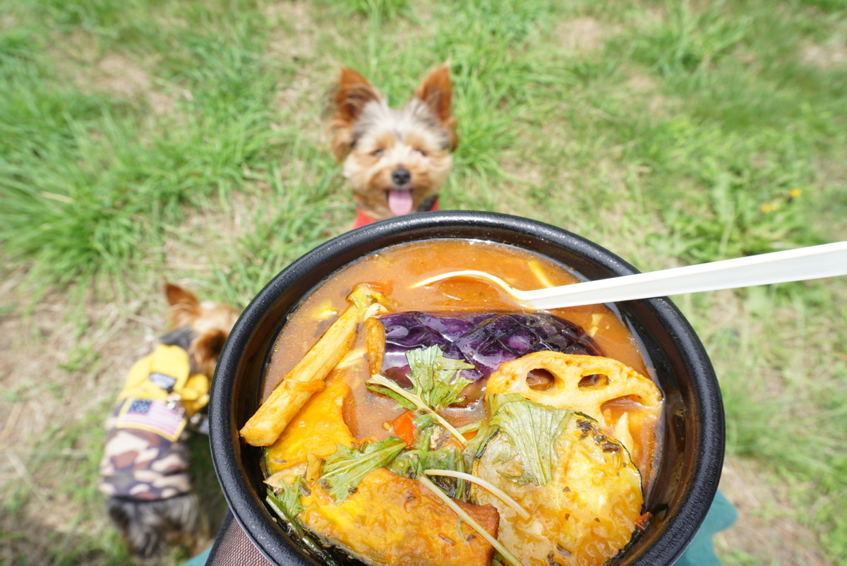 スープカリーメラ の鬼うまカレーで愛犬とピクニック まめうに日記 スープカリーメラ の鬼うまカレーで愛犬とピクニック まめうに日記