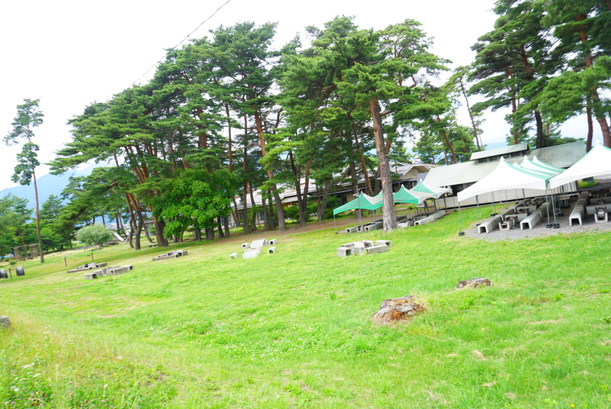 f:id:mame-uni0331:20210619110413j:plain