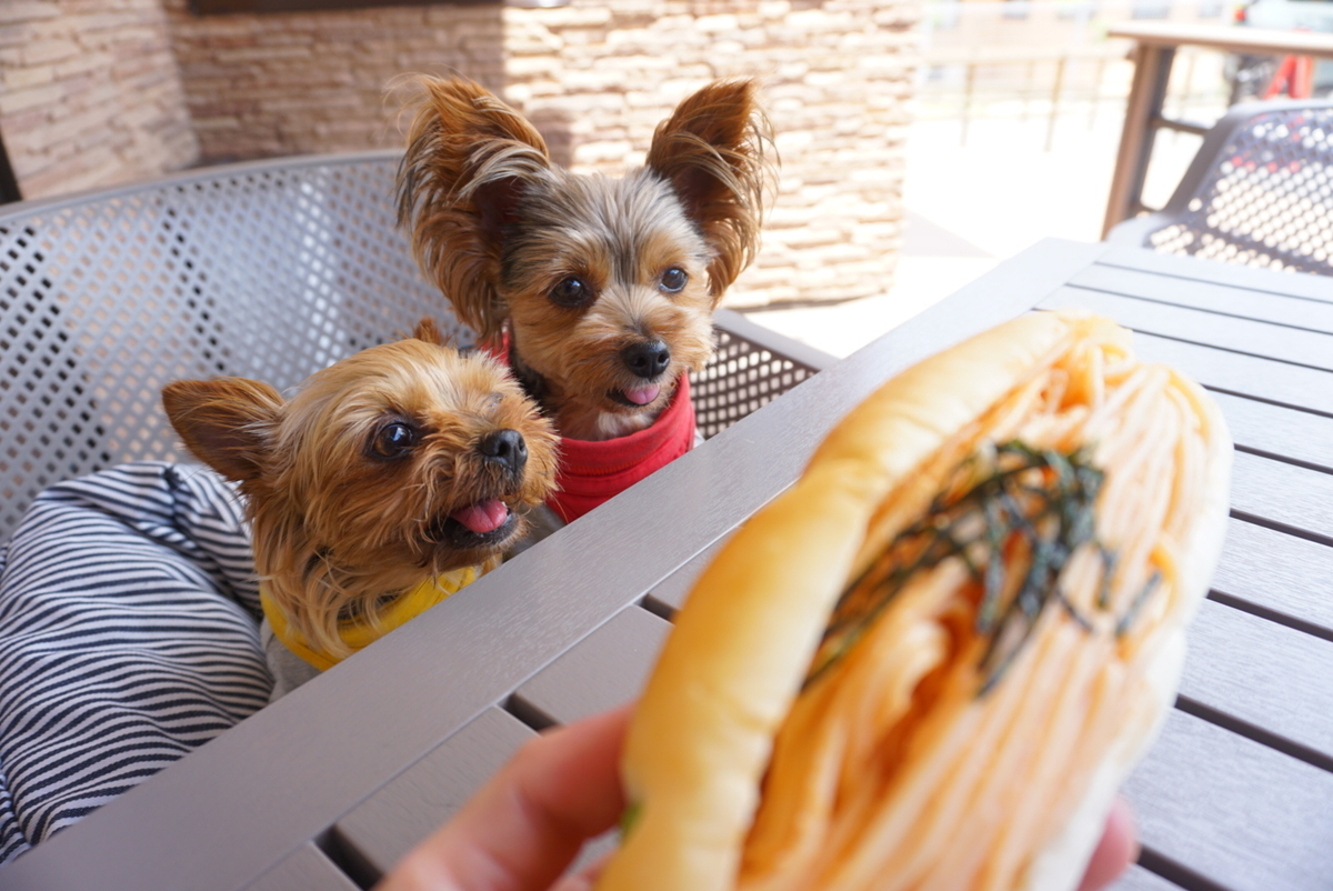 顔より大きなメロンパンのある ラ パン エレガント 戸倉上山田温泉 まめうに日記