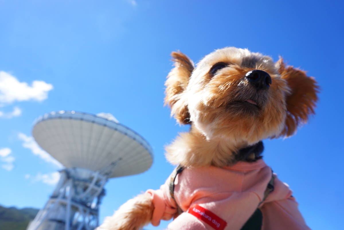 Jaxa 臼田宇宙空間観測所 日本一大きなパラボラアンテナ まめうに日記