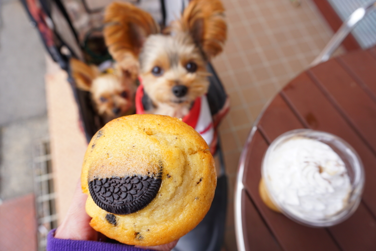 f:id:mame-uni0331:20211104131238j:plain