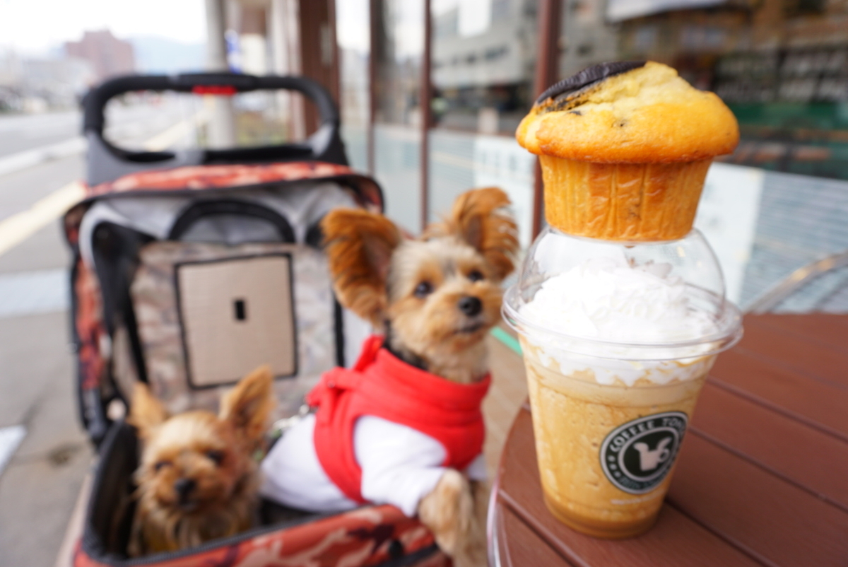 f:id:mame-uni0331:20211104131251j:plain