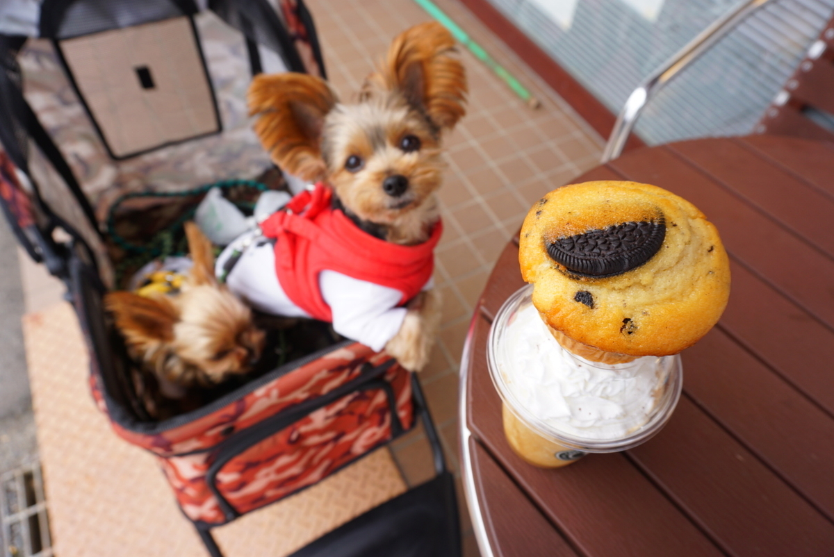 f:id:mame-uni0331:20211104131319j:plain