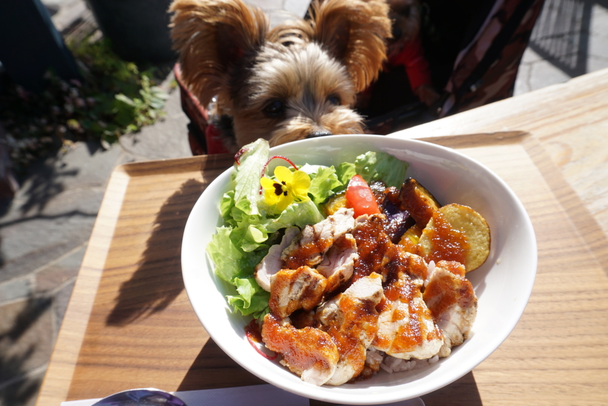 f:id:mame-uni0331:20211202184607j:plain