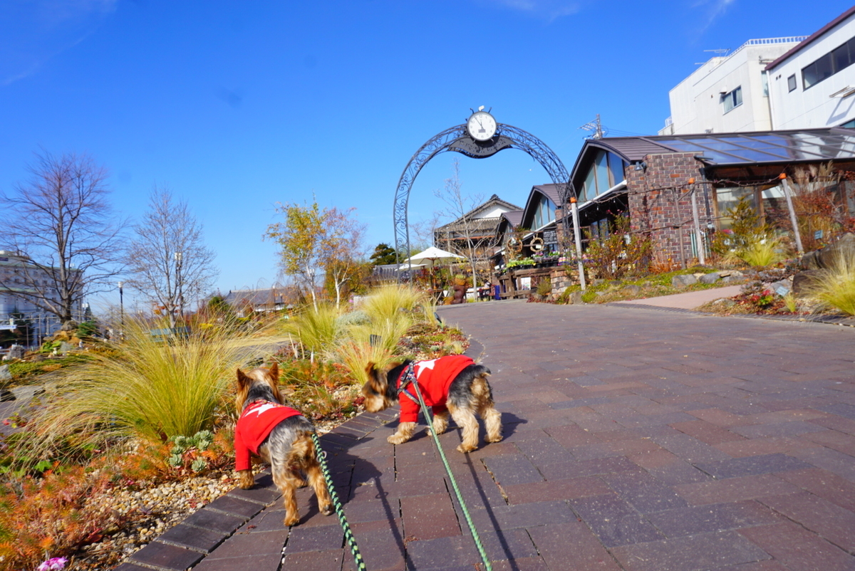 f:id:mame-uni0331:20211202184722j:plain