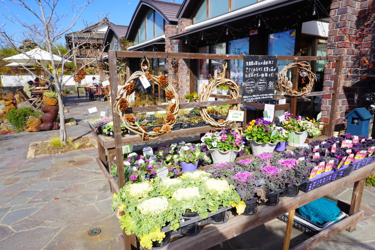 f:id:mame-uni0331:20211202184810j:plain