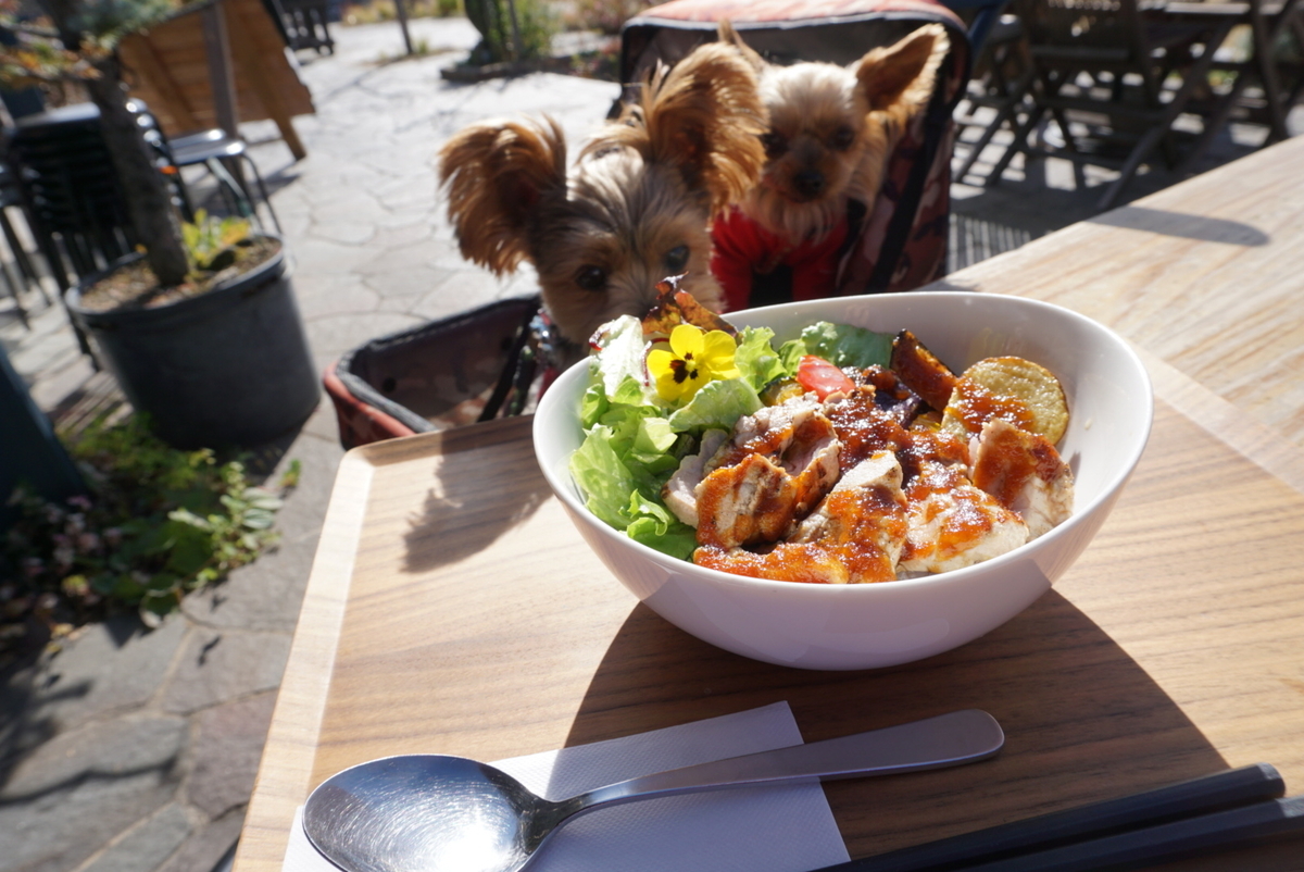 f:id:mame-uni0331:20211202184913j:plain