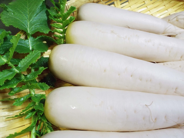 大根 し なし な