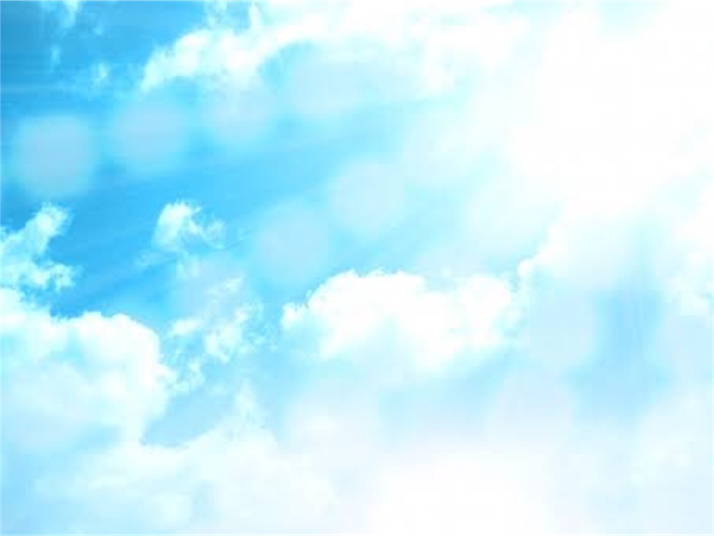 f:id:mame31:20191119215455j:image