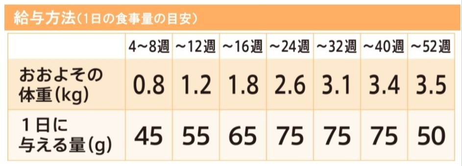 f:id:mame90:20190413132052j:plain f:id:mame90:20190413132052j:plain