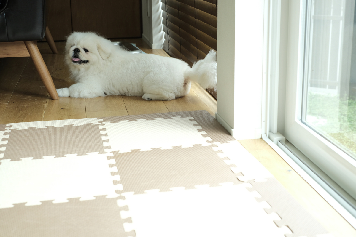 f:id:mame_mofu:20190715150929j:plain